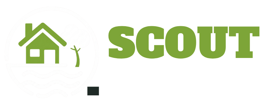Scout Arden Arcade